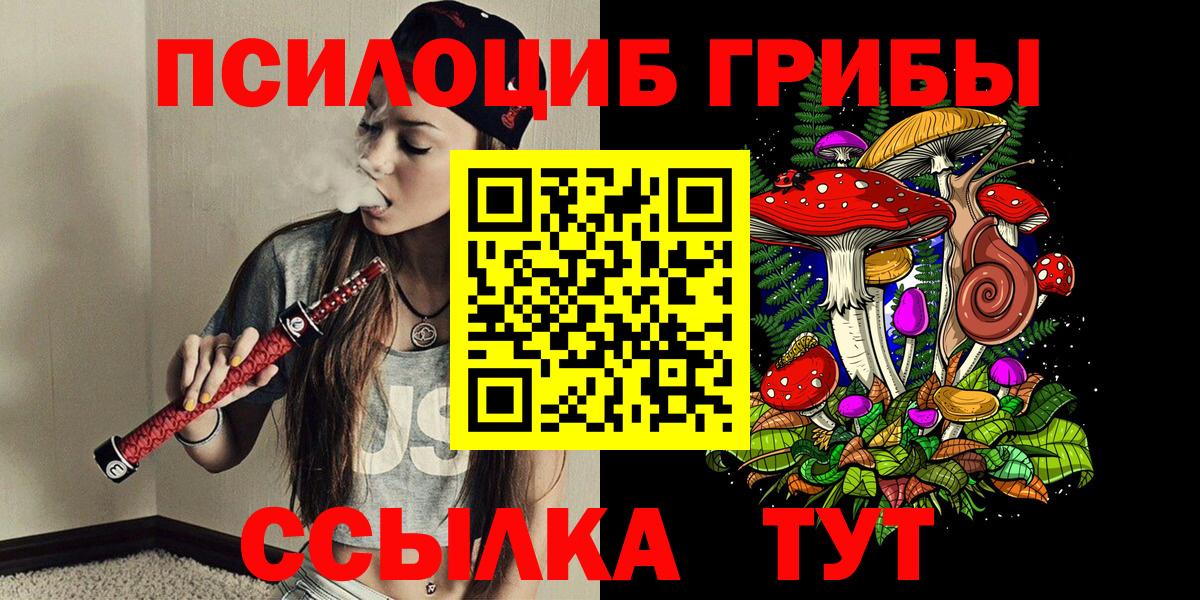 Нерюнгри  Галлюциногенные грибы Magic Shrooms  Вход с VPN 
